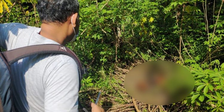 Polresta Palangka Raya Olah TKP Penemuan Mayat di Banturung