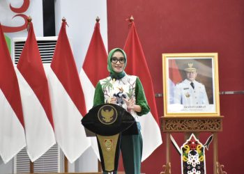 Ivo Sugianto: Program Dekranasda Kalteng Fokus ke Pembinaan