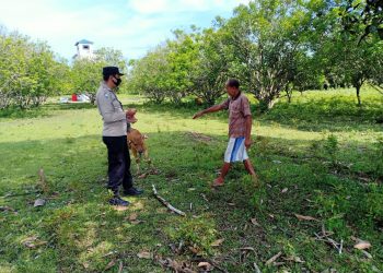 Antisipasi Wabah PMK, Polisi Periksa dan Data Pemilik Ternak