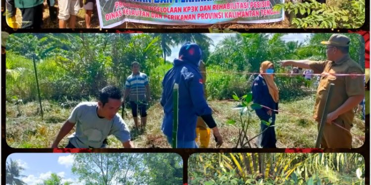 Dislutkan Prov. Kalteng Gelar Pelatihan dan Penanaman Mangrove di Desa Sabuai Kobar