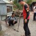 Sempat Serang Pemilik Rumah, Ular Kobra Berhasil Ditangkap Tim ERP