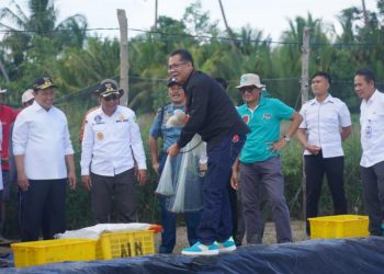 Wagub dan Kadislutkan Kalteng Menjala Udang Vaname di Tambak Masyarakat Desa Sei Pasir Sukamara