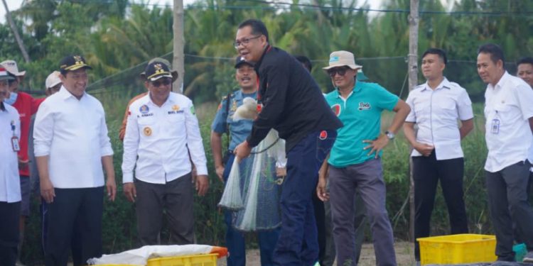 Wagub dan Kadislutkan Kalteng Menjala Udang Vaname di Tambak Masyarakat Desa Sei Pasir Sukamara