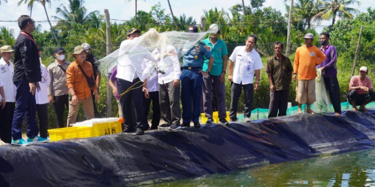 Lemhannas RI Lakukan Studi Lapangan Isu Strategis Nasional di Kawasan Shrimp Estate Kabupaten Sukamara