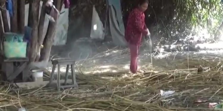 Petani Keluhkan Harga Rotan Turun Lagi