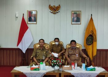 Sahli Gubernur Kalteng Yuas Elko Hadiri Pertemuan Pembahasan Progres Pemerintah Daerah Dalam Melakukan Percepatan P3DN