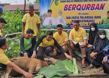 Dewan Masjid Indonesia Kota Palangka Raya Bagikan 120 Paket Daging Kurban