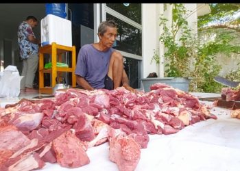 Berbagi Sesama, IJTI Kalteng Laksanakan Penyembelihan Hewan Qurban Bantuan Gubernur Kalteng