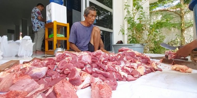 Berbagi Sesama, IJTI Kalteng Laksanakan Penyembelihan Hewan Qurban Bantuan Gubernur Kalteng