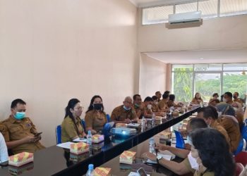 Biro Organisasi Rakor Rencana Pembentukan BRIDA di Pemerintah Kabupaten/Kota se-Kalteng