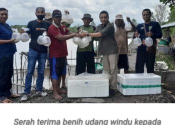 Pemprov. Kalteng Salurkan Bantuan Benih Udang Windu untuk Pokdakan Tambak Sungai Ratik Kumai