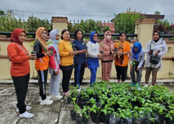 Dukung Program Pengendalian Inflasi, Dinas TPHP Berikan Bibit Cabe Bagi DWP Prov. Kalteng