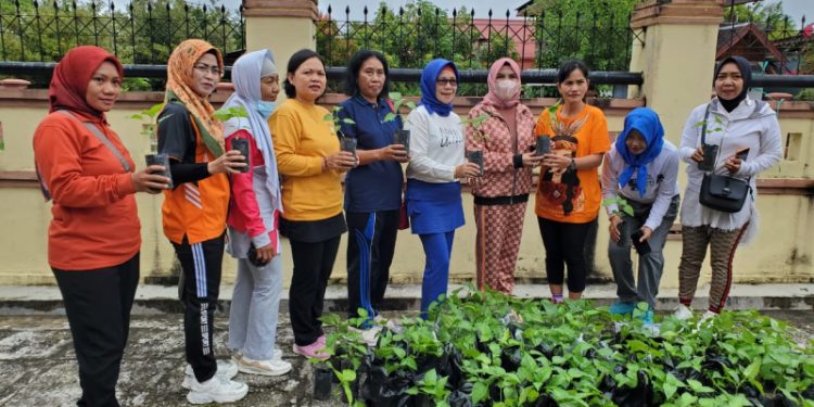 Dukung Program Pengendalian Inflasi, Dinas TPHP Berikan Bibit Cabe Bagi DWP Prov. Kalteng