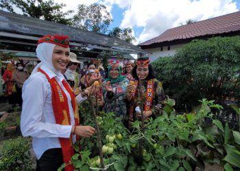 Menteri PPPA I Gusti Ayu Bintang Puspayoga Kunjungi Lahan Pekarangan Untuk TOGA