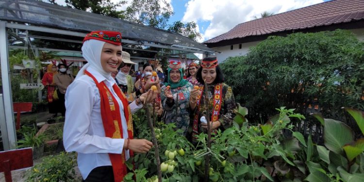 Menteri PPPA I Gusti Ayu Bintang Puspayoga Kunjungi Lahan Pekarangan Untuk TOGA