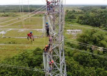 Gangguan Transmisi, PLN Percepat Penormalan Suplai Listrik Provinsi Kalteng