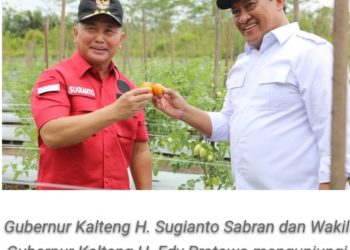 Gubernur Sugianto : Potensi Pertanian Kalteng Terbuka Lebar Bagi Milenial yang Optimis dan Siap “Hantak Siku“