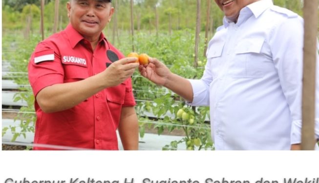 Gubernur Sugianto : Potensi Pertanian Kalteng Terbuka Lebar Bagi Milenial yang Optimis dan Siap “Hantak Siku“