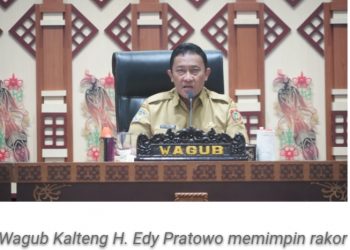 Banjir di Sebagian Wilayah Kalteng, Wagub Edy Pratowo Sampaikan Arahan Gubernur