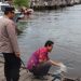 Antisipasi Banjir, Kapolres Seruyan Cek Debit Air Sungai
