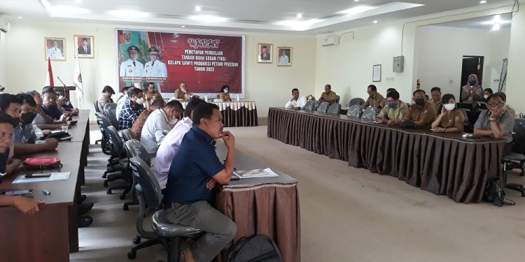 November 2022, Harga TBS Kalteng Kembali Menguat