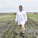 Petani Milenial Berperan Penting Dalam Pemasaran Food Estate