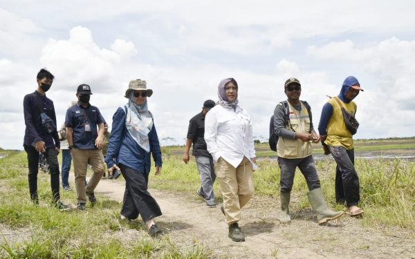 Petani Optimis Food Estate di Desa Bentuk Jaya A5 Dadahup Akan Berhasil