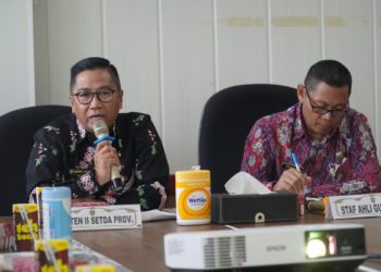 Pemprov Kalteng Lakukan Audiensi bersama Tim Kemenko Marves
