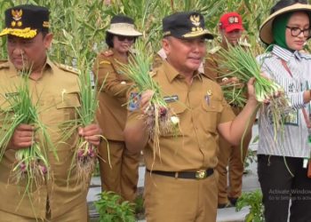 Gubernur Kalteng H. Sugianto Sabran Lakukan Panen Perdana Bawang dan Cabe di Tangkiling   