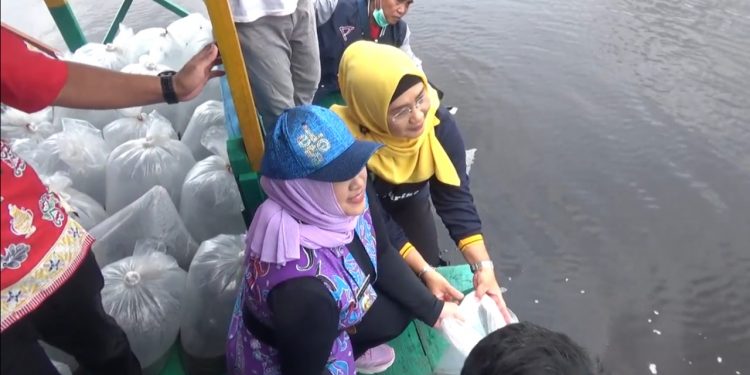 Pemerintah Kota Palangka Raya Dorong Pelestarian Ikan Lokal