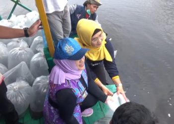 Pemerintah Kota Palangka Raya Dorong Pelestarian Ikan Lokal