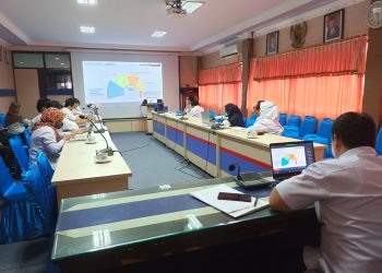 BKKBN Kalteng Ikuti Sosialisasi Penyederhanaan Birokraai di Lingkungan Kerja