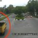 Terobos Lampu Merah! Siswa SMU Tewas Tertabrak Truk