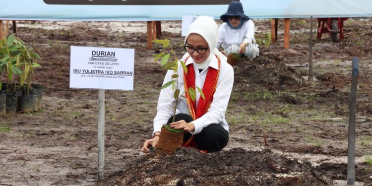 Tonjolkan Khas Daerah, Pemprov Kalteng Tanam Durian Gelapir pada Gerakan Penanaman 1.000 Pohon Serentak