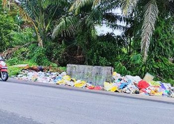 Neni A Lambung Ingatkan Pemerintah Pentingnya Pengelolaan Sampah