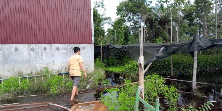 Pembuatan Irigasi Kelompok Tani Rugikan Masyarakat Desa Tumbang Nusa 