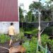 Pembuatan Irigasi Kelompok Tani Rugikan Masyarakat Desa Tumbang Nusa 