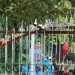 Sambil Bonceng Anak, Bapak Mainin “Burung” di Depan Cewek-cewek