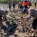 Cegah Bencana Alam, Bersama TNI-Polri Tanam Mangrove