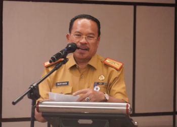Efisiensi dan Efektivitas Penyelenggaraan Urusan Pemerintahan di Daerah, Diperlukan Pembinaan dan Pengawasan