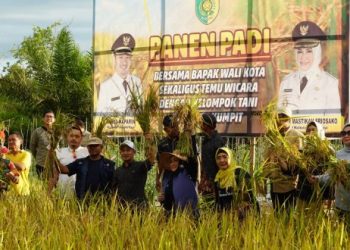 Wali Kota Palangka Raya Panen Padi di Kelurahan Pager