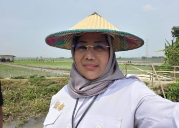 Antisipasi Krisis Pangan Akibat El Nino, Pemerintah Perkuat Ketahanan Pangan Lewat KUR