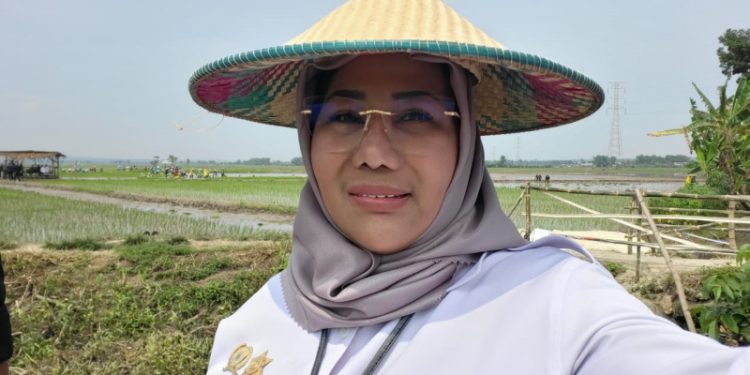 Antisipasi Krisis Pangan Akibat El Nino, Pemerintah Perkuat Ketahanan Pangan Lewat KUR