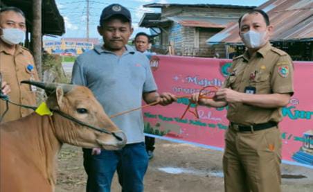 DPMPTSP Laksanakan Ibadah Kurban