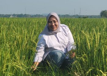 Gebrakan Direktorat Pembiayaan Pertanian, Digitalisasi untuk Meningkatkan Produktivitas dan Taraf Hidup Petani
