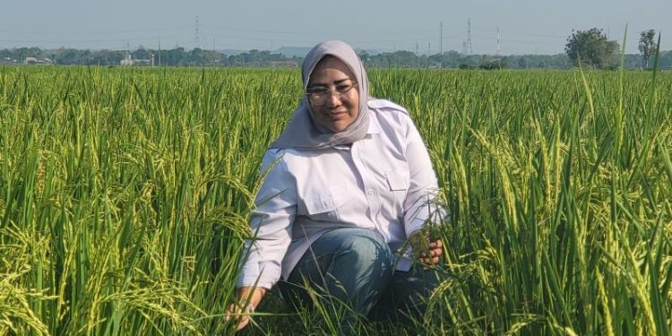 Gebrakan Direktorat Pembiayaan Pertanian, Digitalisasi untuk Meningkatkan Produktivitas dan Taraf Hidup Petani