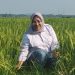 Gebrakan Direktorat Pembiayaan Pertanian, Digitalisasi untuk Meningkatkan Produktivitas dan Taraf Hidup Petani