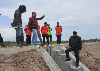 Gubernur Targetkan Shrimp Estate Operasional Akhir Tahun 2023