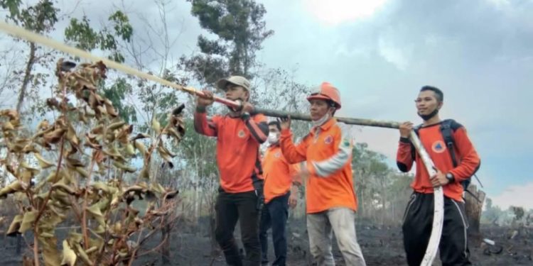 BPBD Barsel Tangani 15 Kejadian Karhutla Selama Bulan Juli 2023