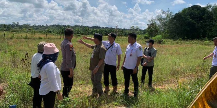 Pemkab Barsel Canangkan Kecamatan GBA Menjadi Wilayah Pilot Projek ‘Food Estate’